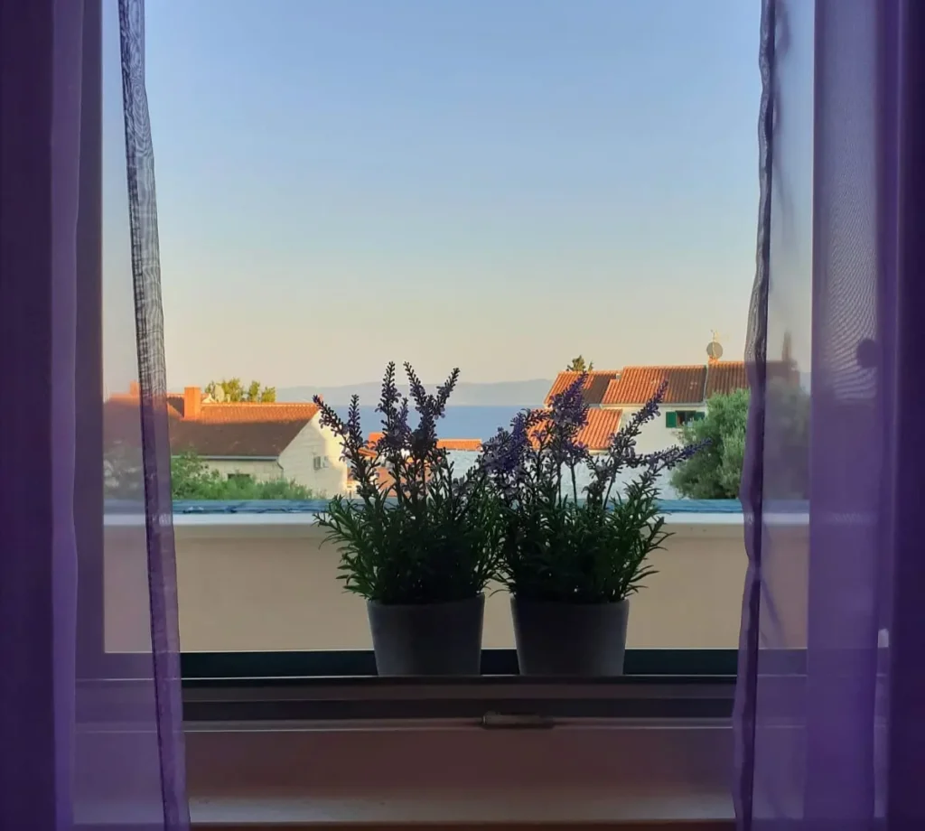 Garden Side Apartment- view from twin room Garden Side Apartment - apartments Borovina - Bol Brac - view from twin room