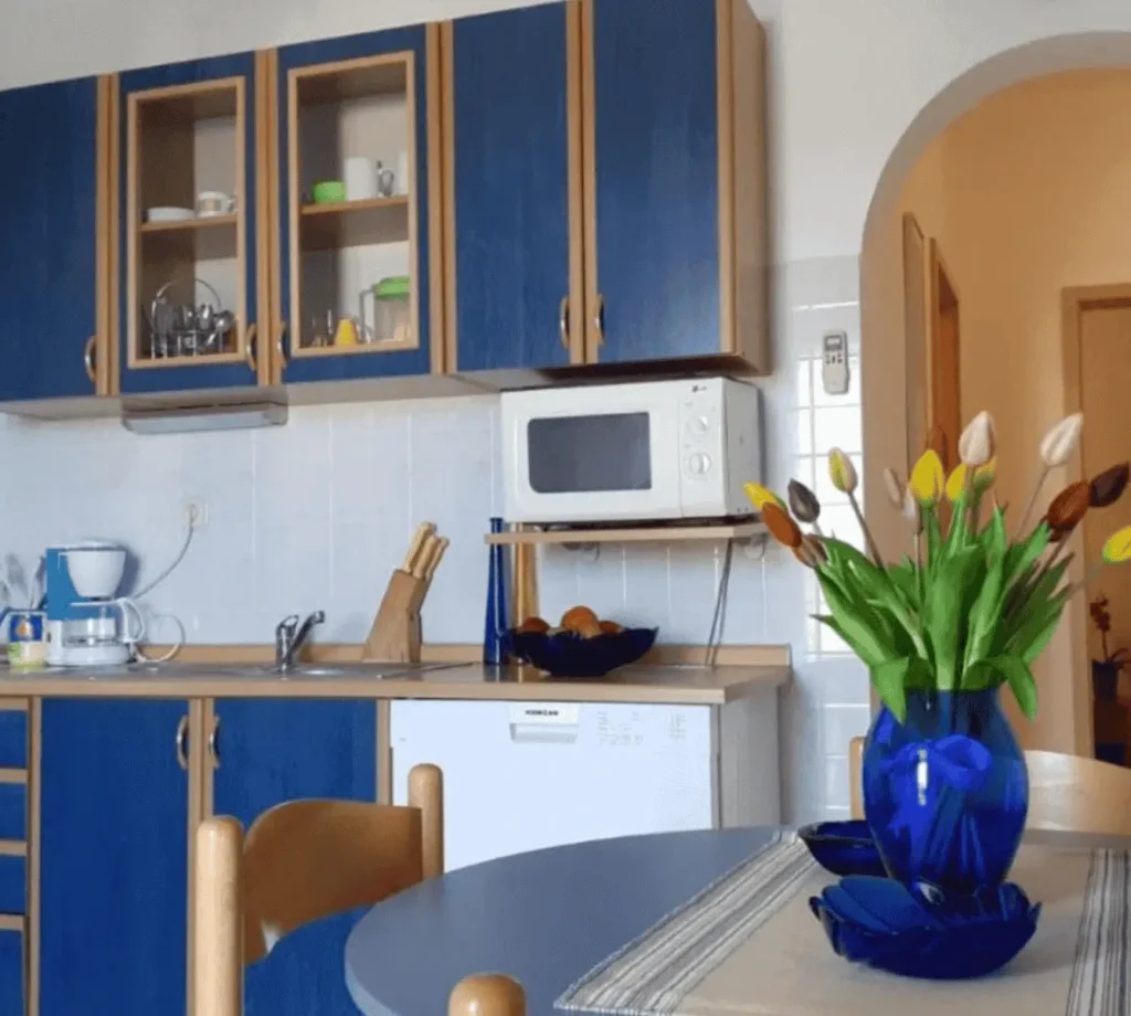 West Side Apartment - kitchen_2 West Side Apartment - Apartments Borovina in Bol Brac - kitchen_2