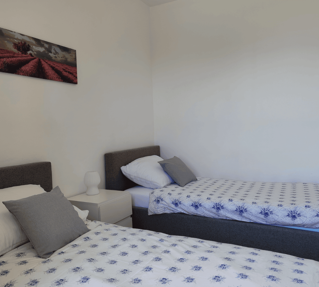 Garden Side Apartment - apartments Borovina - Bol Brac - twin room